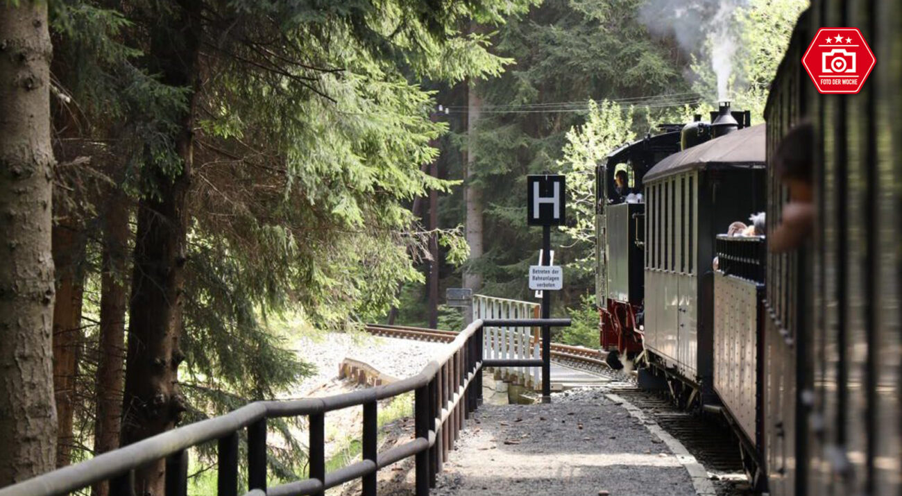railmen unterwegs mit der Pressnitztalbahn
